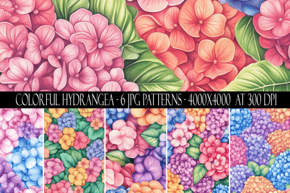 Colorful Hydrangea Flower Patterns